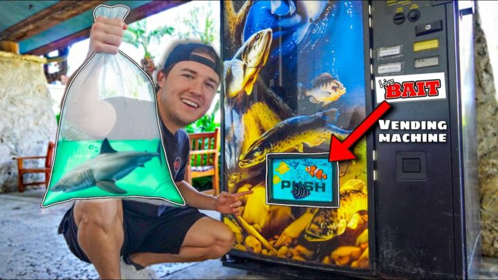 BUYING ALL THE FISH FROM THE VENDING MACHINE… (do not press)